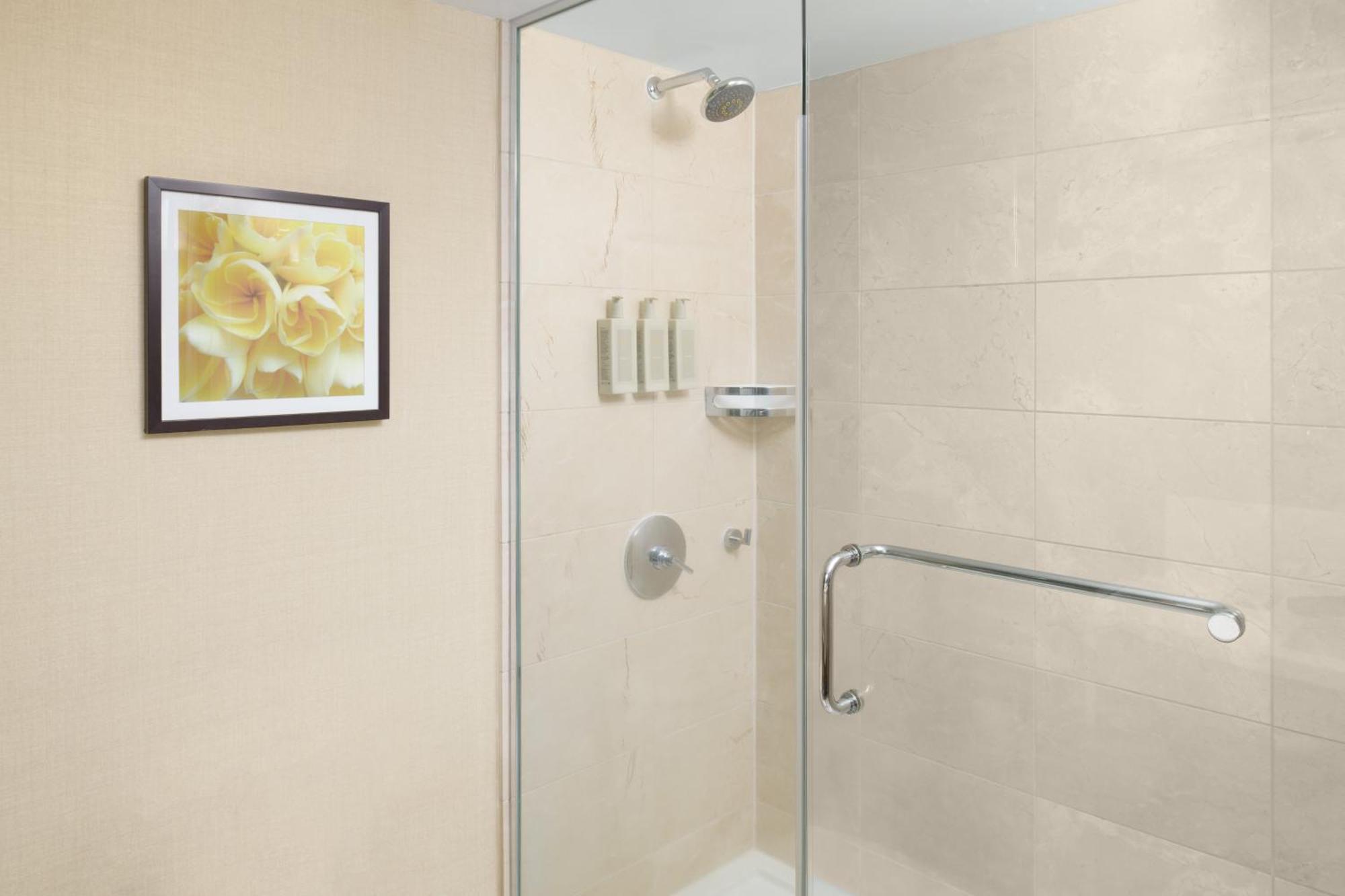 Premium Queen Room Two Queen Beds Ocean View